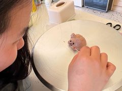 -千浔一暖DIY蛋糕烘焙(人民大学店)