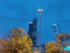 -天鹅湖体育公园