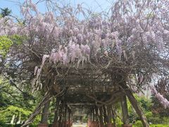 -山东大学(千佛山校区)