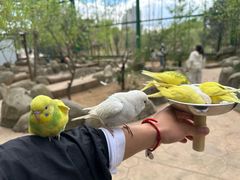 -北戴河集发农业梦想王国