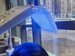 -碧莲盛·不剃发植发