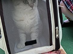 -贝康宠物医院·犬猫全科·小动物特色诊疗中心(东环路店)