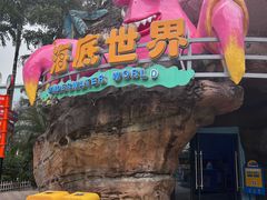 -海合安成都极地海洋公园