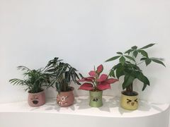 -艾薯夫妇Aysh(福田星河COCOPark店)