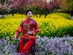 -赵州桥景区