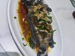 清蒸石斑-金海湾海鲜排档(朱家尖店)