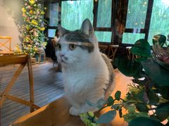 -IFIF 如果花園(宽厚里店)