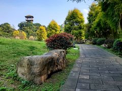-张坝桂圆林公园