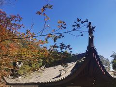 -韬光茶庵
