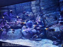 -成都浩海立方海洋公园