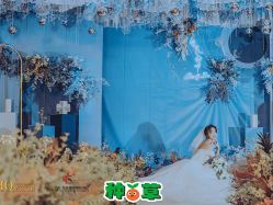 -红丝高端婚礼中心(旗舰店)