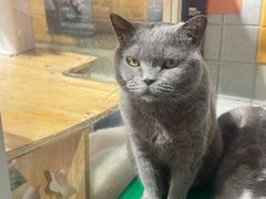 -平行世界·猫咖(首经贸店)