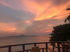 -卷心菜和避孕套餐厅(Pattaya)