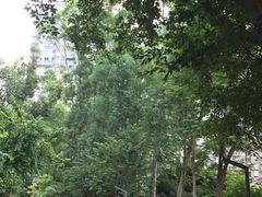 -狐尾山公园