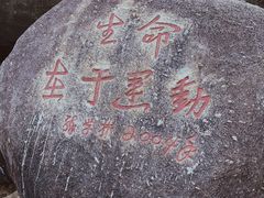 -火炉山森林公园