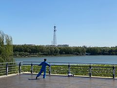 -大兴滨河森林公园