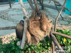 -无锡动物园·太湖欢乐园