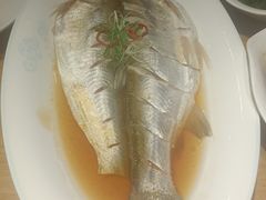 -蟹天蟹地农家菜·阳澄湖大闸蟹(浅水湾店)