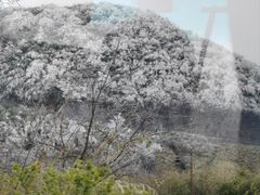 -娄山关景区