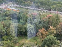 -南阳建业森林半岛假日酒店