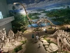 -自贡恐龙博物馆