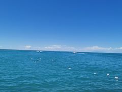 -撒拉人家.酸菜牦牛肉火锅