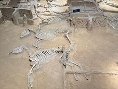 -洛阳周王城天子驾六博物馆