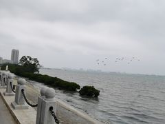 -霞山观海长廊
