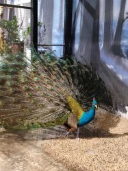 点击看大图 -酷嗒动物文化乐园(cutezoo西溪乐天城店)