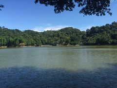 -西樵山风景名胜区-天湖公园