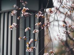 -陕西民俗大观园