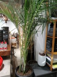 -M+hair salon专业造型沙龙