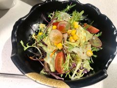 田园蔬菜沙拉-千寻山野烤肉(天虹店)