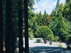 -山王坪喀斯特国家生态公园