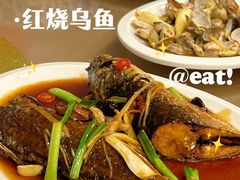 红烧乌鱼-长平肥姐白粥·海鲜打冷