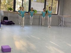 -舞蕾舞蹈(特长生校区)
