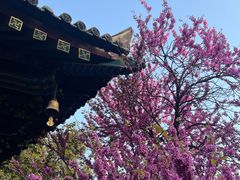 -西安市广仁寺