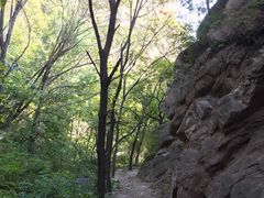 -大岭沟猕猴桃谷风景区