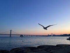 -星海广场
