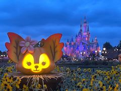 -Lotso Lunch Box 草莓熊餐盒