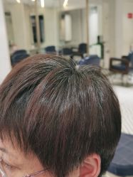 点击看大图 -PE SALON