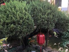 -聚福宝合苑食府(南头镇店)