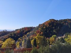 -遵化市禅林寺古银杏风景园