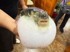 -天正河鲀·河豚亭(大连店)