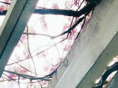 -郑和公园