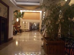 -雅安楠水阁温泉酒店