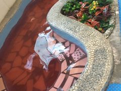 -兴芮温泉度假区