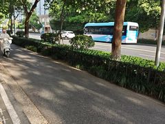 -杨氏青龙虾·羊蝎子(珠江路店)