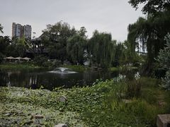 -北湖公园