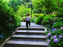 -常州古运河南大街文化旅游区-人民公园